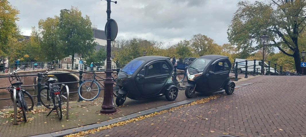 The Black Line - Image 3